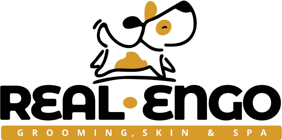 REAL·ENGO Grooming, Skin & Spa